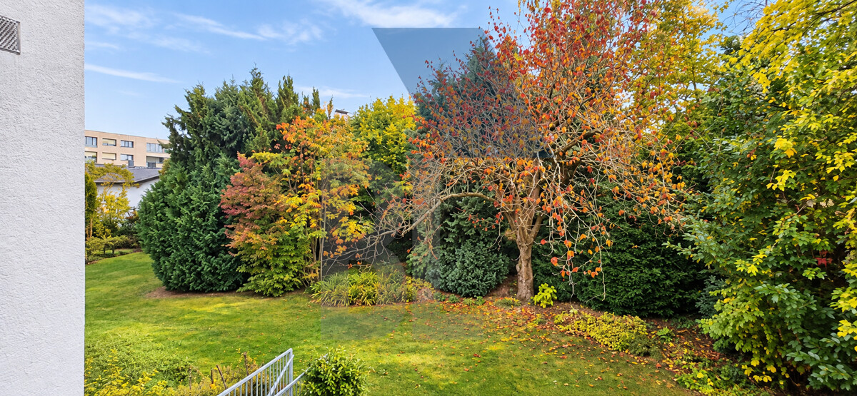 Gemeinsame Garten